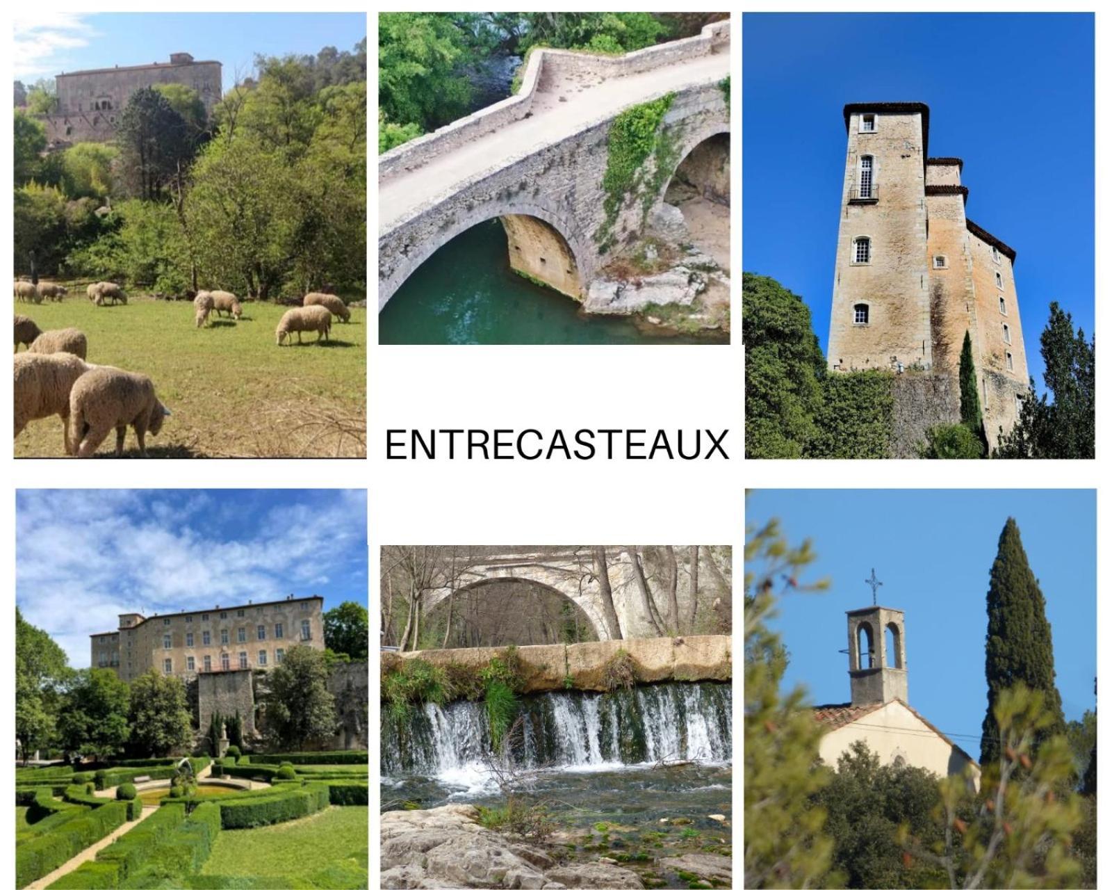 La Bergerie Des Colles Bed & Breakfast Entrecasteaux Exterior photo