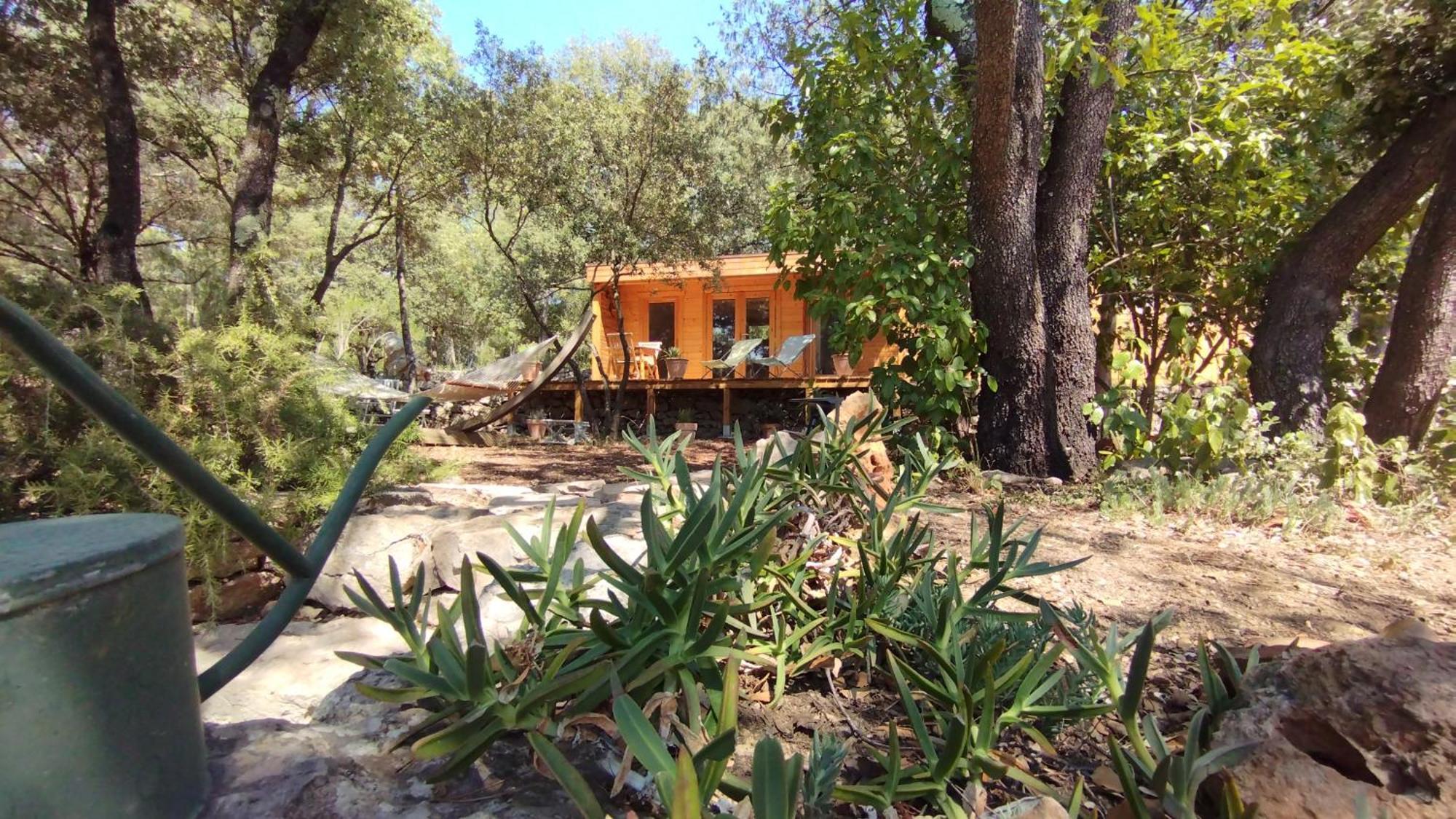 La Bergerie Des Colles Bed & Breakfast Entrecasteaux Exterior photo