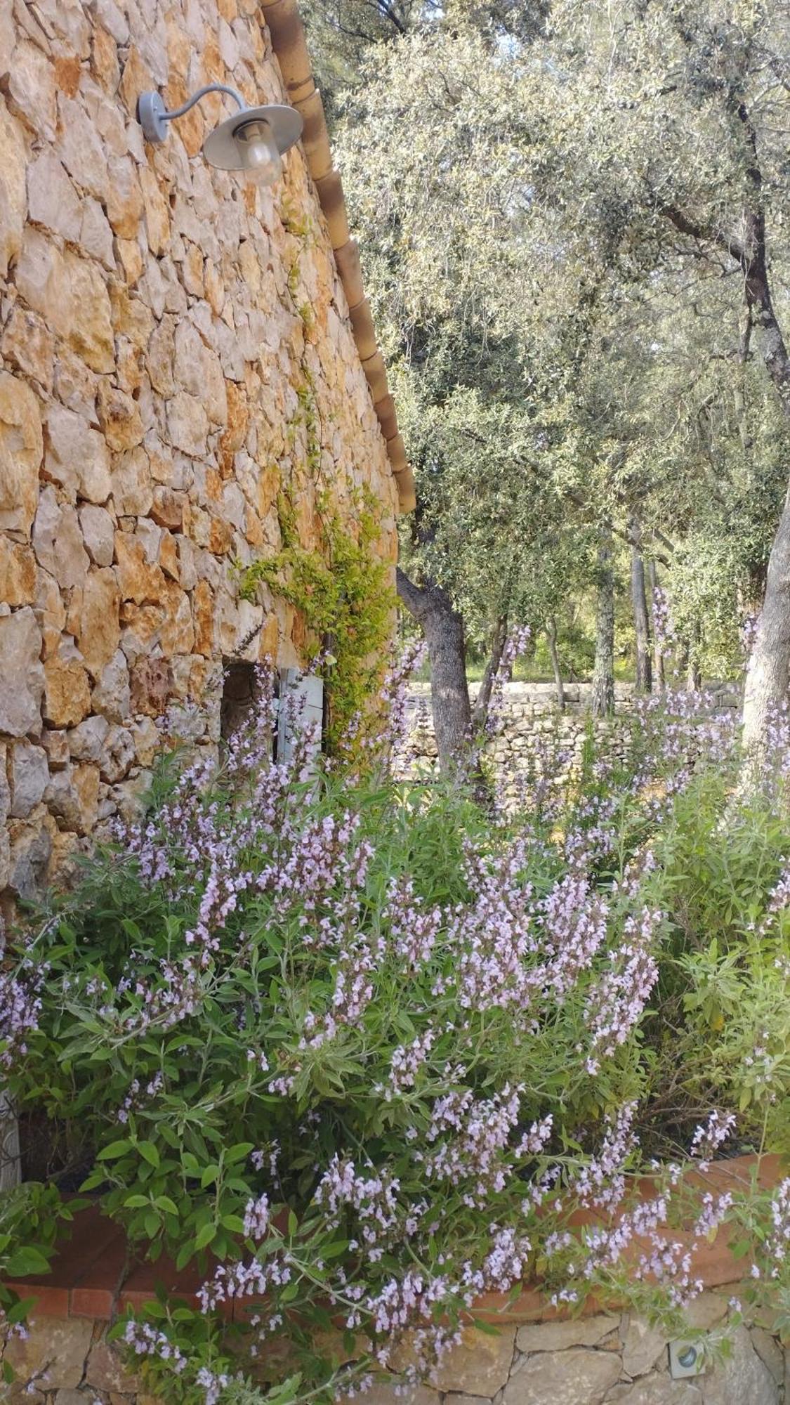 La Bergerie Des Colles Bed & Breakfast Entrecasteaux Exterior photo